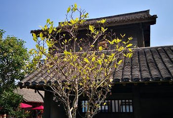 射雕英雄传旅游城第 14 张图片