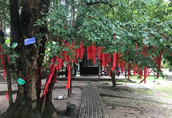 黔阳古城芙蓉楼第 17 张图片