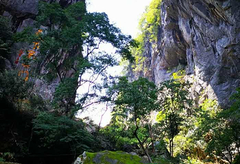 仙门奇峡第 69 张图片