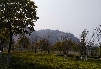 杨府山第 18 张图片