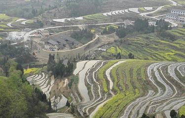 凤堰古梯田第 13 张图片