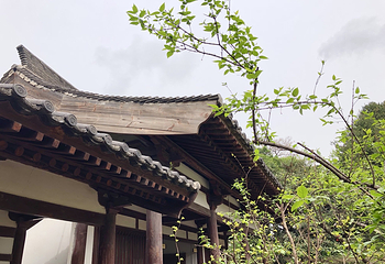 青龙寺第 72 张图片
