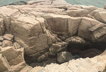 青浜第 4 张图片