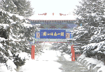 关山森林公园第 13 张图片