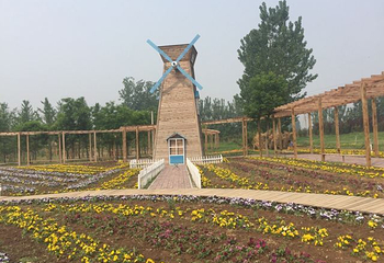 紫云水岸香草园第 16 张图片