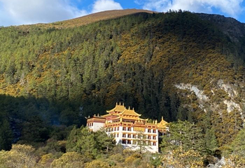 毛垭草原第 9 张图片