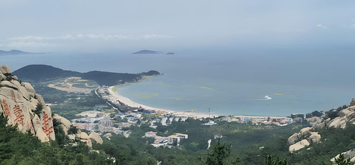 青岛森林野生动物世界第 64 张图片