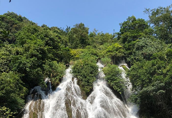 荔波四季花海第 22 张图片