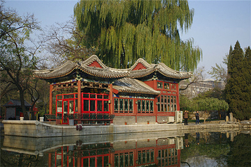 日坛公园第 123 张图片