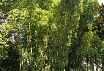 广场公园第 8 张图片
