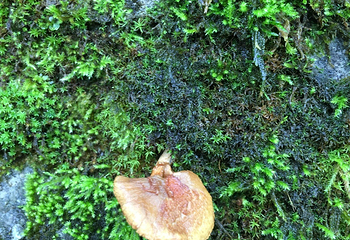 清碧溪第 17 张图片