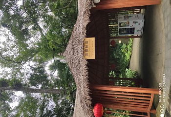 海南百花岭热带雨林文化旅游区第 59 张图片