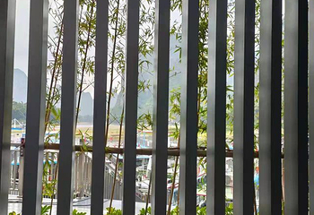 金佛顶第 24 张图片