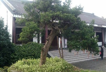 江淮文化园第 16 张图片