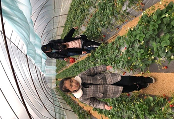 洪礼军奶油草莓园第 4 张图片