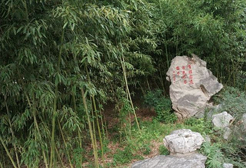 孔子研究院第 25 张图片