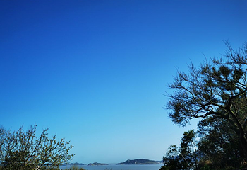 舟山市普陀山风景区-紫竹林第 16 张图片