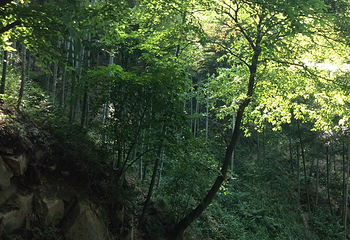 莫干山风景区-滴翠潭第 6 张图片