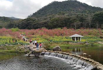 石门国家森林公园第 54 张图片