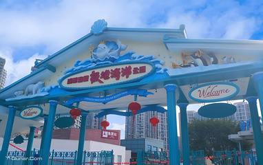 海合安成都极地海洋公园第 45 张图片