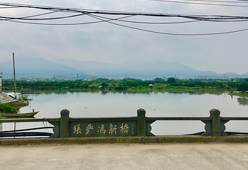 三垟湿地第 20 张图片