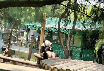 红山森林动物园第 386 张图片