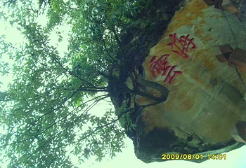 飞鸽林场第 20 张图片