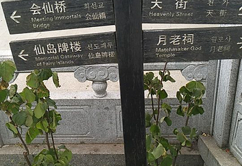 荡口古镇第 39 张图片