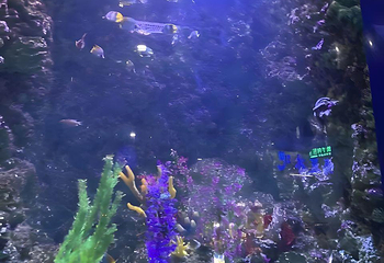 青岛森林野生动物世界第 55 张图片