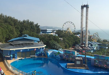 香港中旅巴士车第 19 张图片