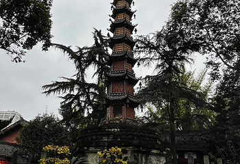 文殊院第 85 张图片