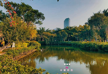 南湖公园第 11 张图片