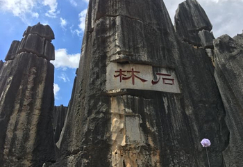 西山森林公园景区第 2 张图片