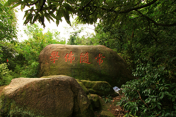 苏州灵岩山第 4 张图片