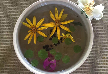 明月村第 25 张图片