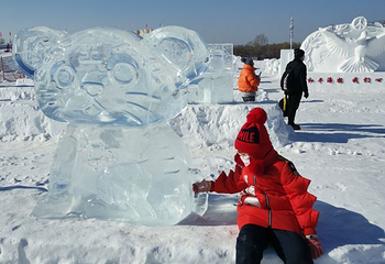 太阳岛雪博会第 123 张图片