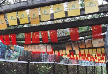 帽儿山风景区第 36 张图片