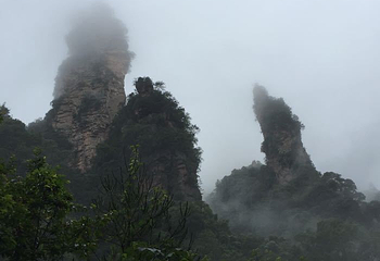 采凉山第 5 张图片