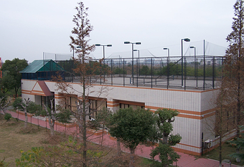 真人CS拓展联盟（巢湖龟山湿地公园）第 16 张图片