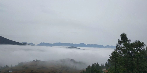 泽雅景区第 26 张图片