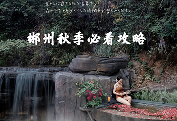 莽山森林温泉第 50 张图片