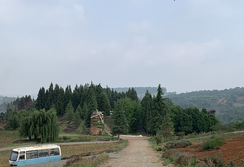 凤龙湾薰衣草庄园第 18 张图片