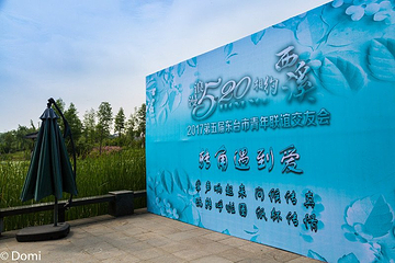 海春塔苑第 25 张图片