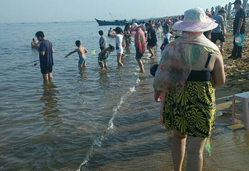 白沙湾海滨浴场第 16 张图片