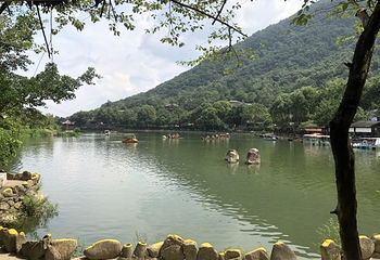 九龙谷景区第 45 张图片