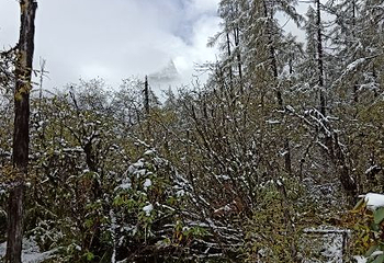 米亚罗风景区第 28 张图片