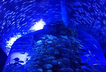 西宁新华联童梦乐园综合旅游度假区第 62 张图片