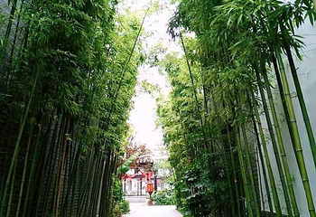 龙园旅游度假区第 66 张图片