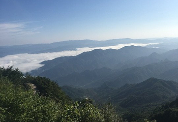 湖北大老岭国家级自然保护区第 17 张图片