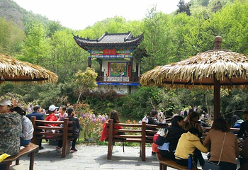 大别山风情谷第 29 张图片